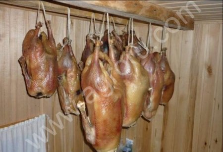 Гусиное мясо, вяленый гусь