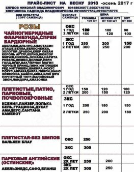 саженцы роз