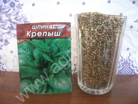 Семена укропа, петрушки, свеклы, редиса, шпината, кинзы, моркови, сельдерея