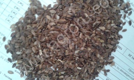 Весенний лен