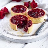 Шнековый пищевой дозатор с пистолетом DS 40