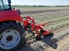 Междурядный фрезерный культиватор TOSCANO FCPC-02