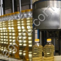 Sunflower refined oil