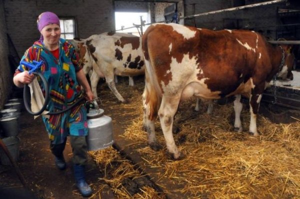 Аллергия на 