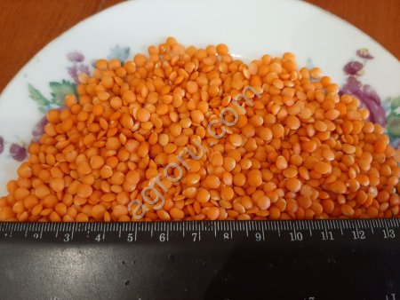 чечевица красная полированная футбол