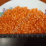 чечевица красная полированная футбол