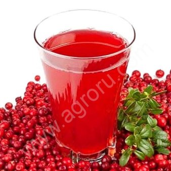 Основа для Морса