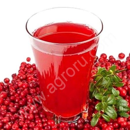 Основа для Морса