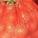 лук репчатый