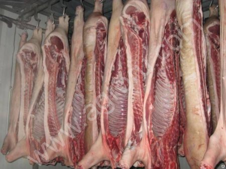 Свинина оптом 1-2 кат
