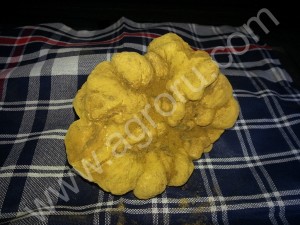грибы Черный трюфель , Белый трюфель.