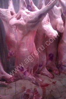 Баранина опт/розница