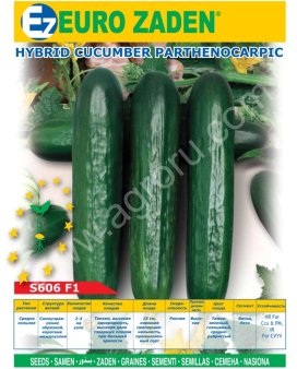 Семена овощных культур