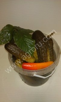 Огурцы соленые