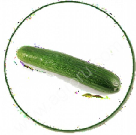 Огурцы свежие Демарраж, Яни, Атлет, Церес, Геракл