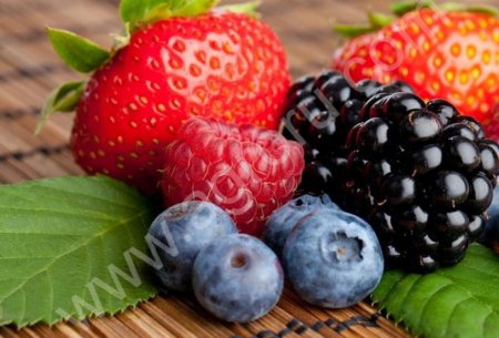 Лоток для Ежевики