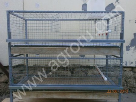 Клетки для всех видов цыплят