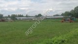 Животноводческая ферма