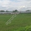 Животноводческая ферма