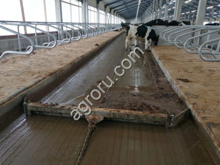 Скрепер для навозоудаления