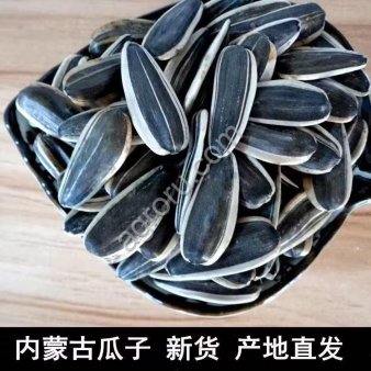 Семечка полосатая Китайская