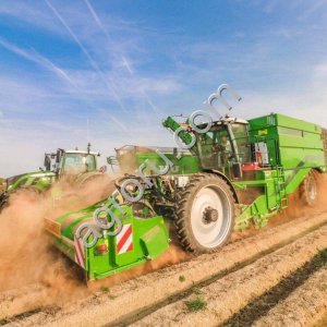 Картофелеуборочный комбайн AVR Puma 4.0 четырехрядный