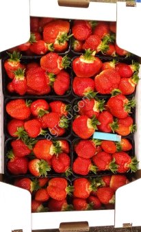 клубника свежая