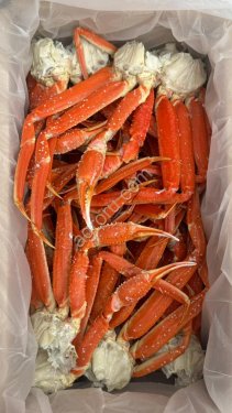 Рыба морепродукты