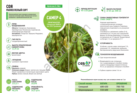 семена сои САМЕР 4 (элита)