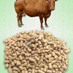 Комбикорм для дойных коров КК-60/1(гранулы)