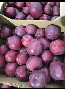 Яблоко Джеромини 2 сорт