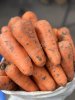 Морковь столовая оптом