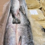 Кета ПБГ Сахрел