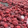 Quick frozen raspberry whole