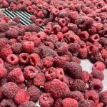 Quick frozen raspberry whole