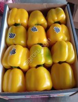 Перец светафор