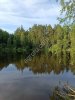 34 гектара рядом с Вазузским и Яузским водохранилищами.