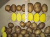 Картофель оптом из Беларуси, доставка в любой регион РФ, полный пакет документов, от 20 тонн, сорт Гала, калибр 5,5+, сетевой стандарт.
