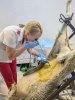 Воспроизводство стада: Лапароскопическое осеменение, эмбриотрансплантация