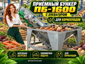 Приёмный бункер ПБ-1600 с элеватором для корнеплодов