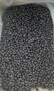 смородина черная