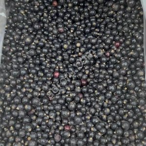 смородина черная
