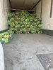 Перец болгарский Амаретто