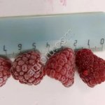 Малина Экстра замороженная