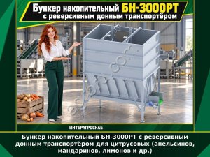 Бункер накопительный БН-3000РТ с реверсивным донным транспортёром для цитрусовых (апельсинов, мандаринов, лимонов и др.)