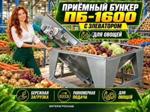 Приёмный бункер ПБ-1600 с элеватором для овощей