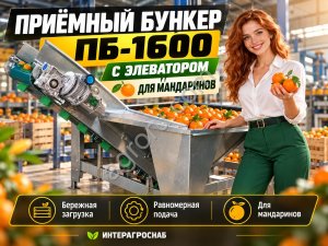 Приёмный бункер ПБ-1600 с элеватором для мандаринов