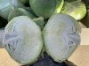 Капуста