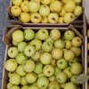 Яблоки Голден Делишес 55+ от производителя