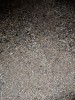Зерноотходы: полова подсолнечника